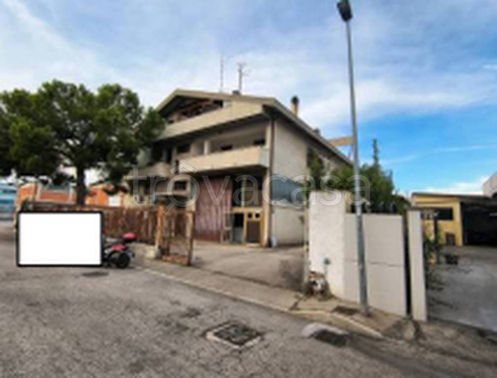 immagine annuncio 7 di 12