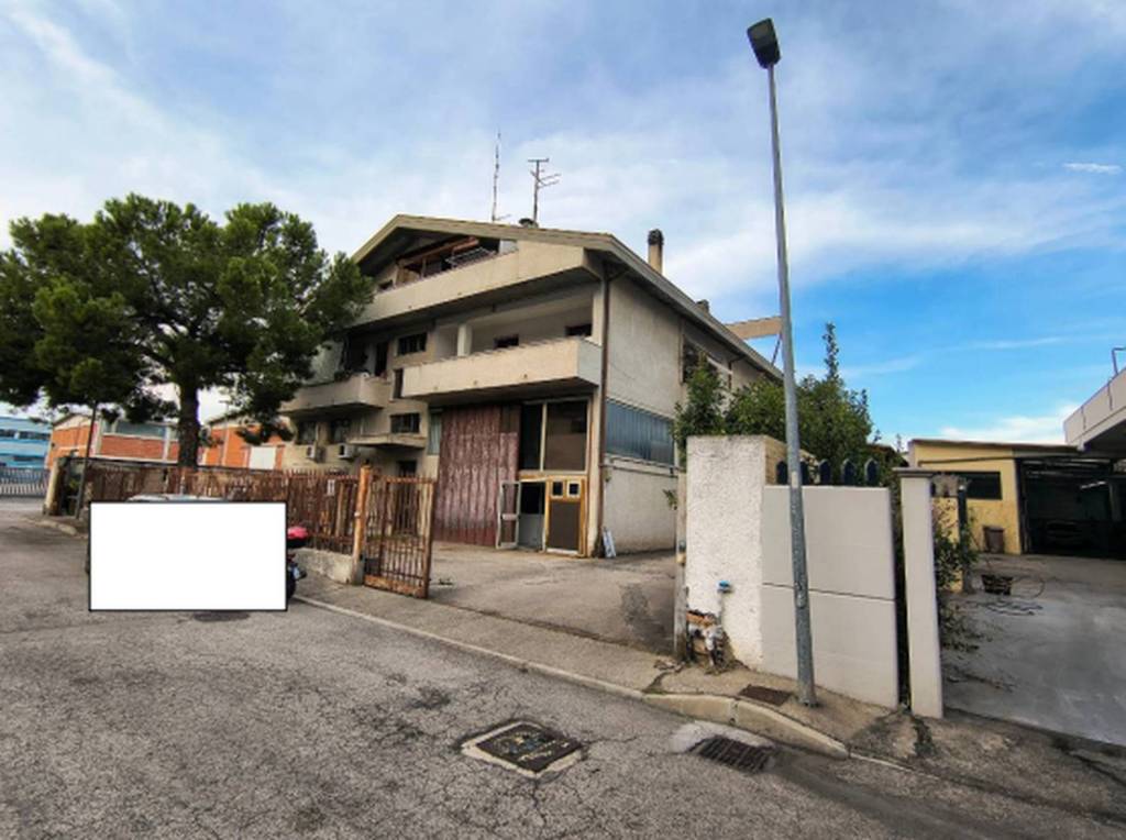 immagine annuncio 11 di 12