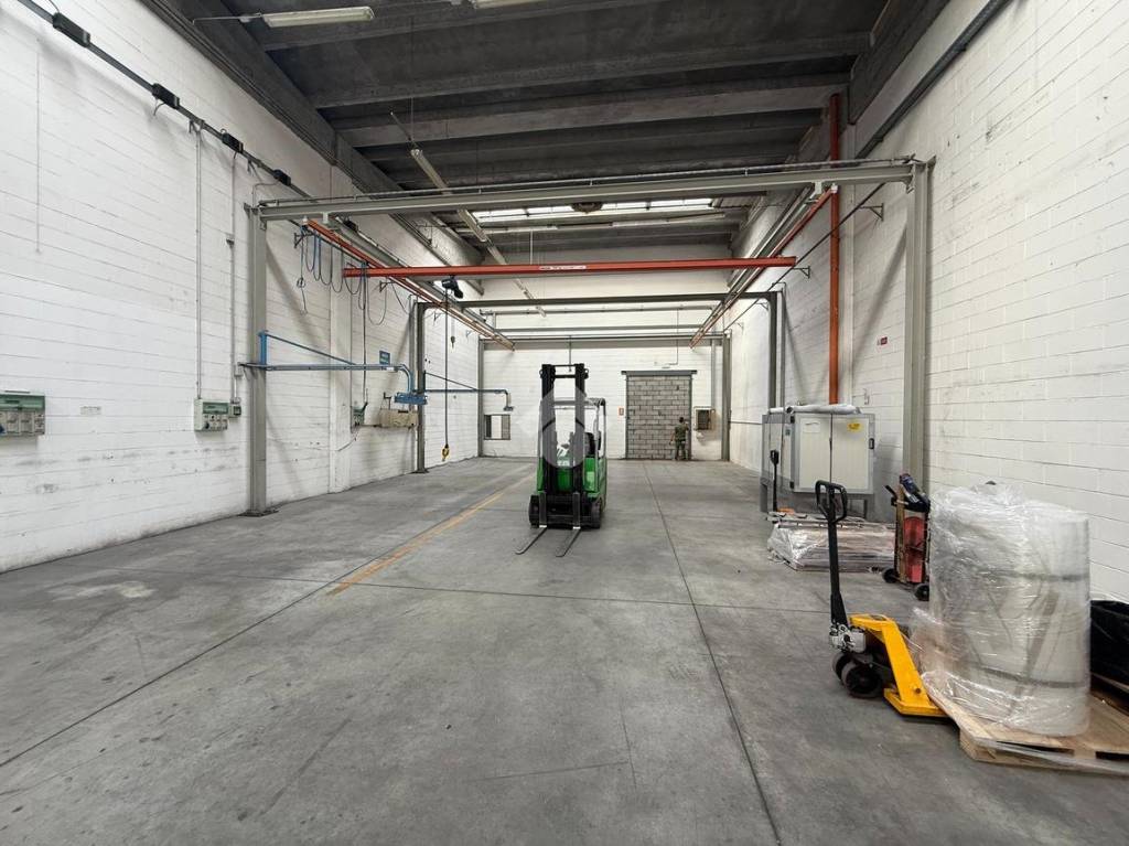 immagine annuncio 4 di 15