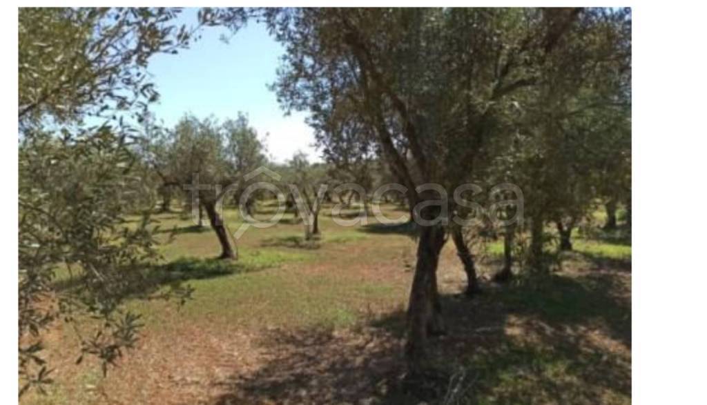 immagine annuncio 6 di 14