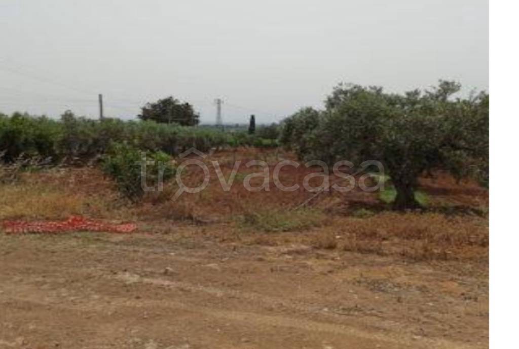 immagine annuncio 7 di 14