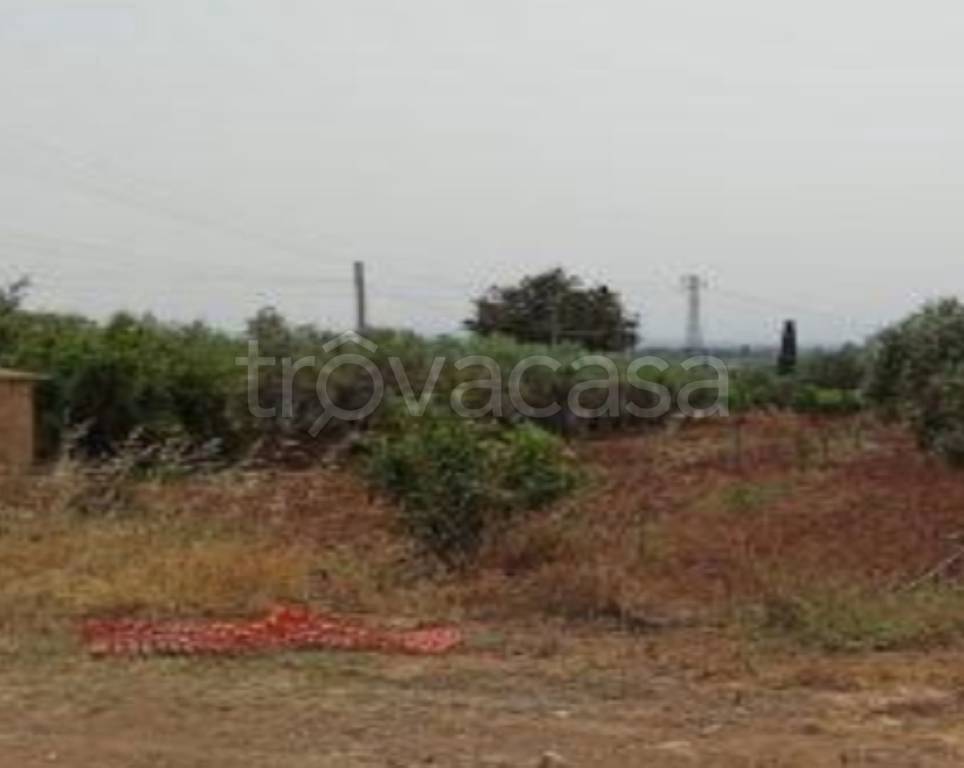 immagine annuncio 8 di 14