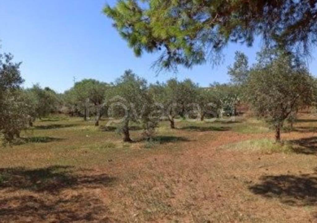 immagine annuncio 11 di 14