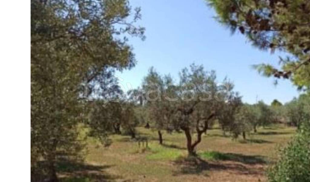 immagine annuncio 13 di 14