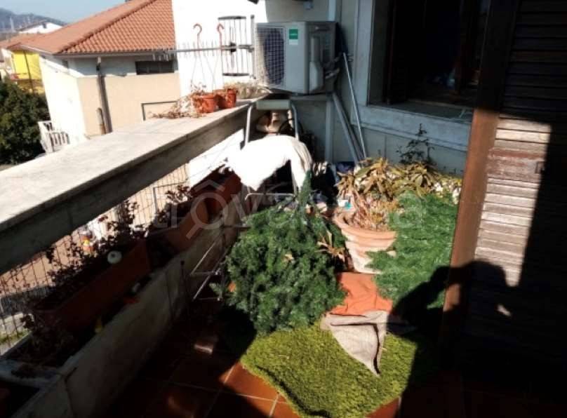 immagine annuncio 11 di 14