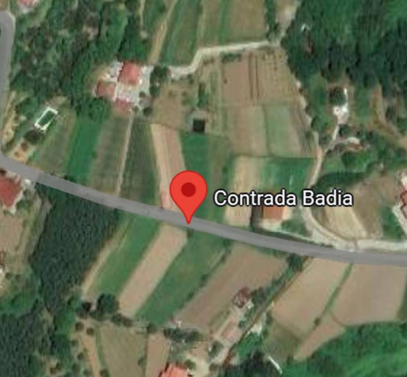 immagine annuncio 6 di 12