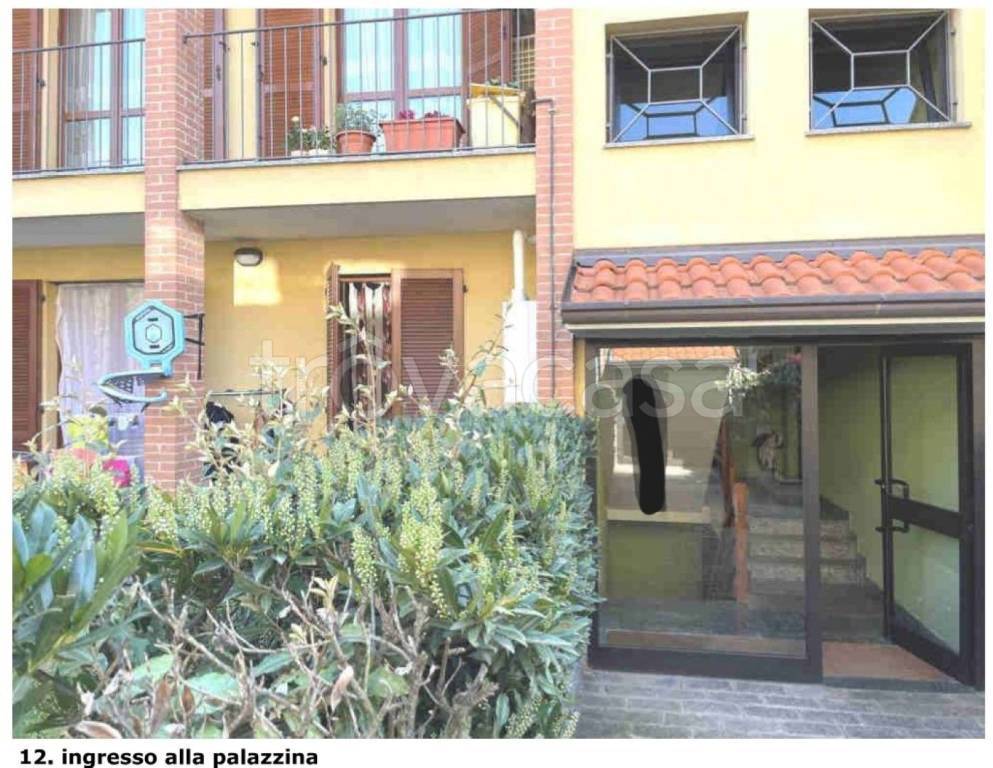 immagine annuncio 8 di 14