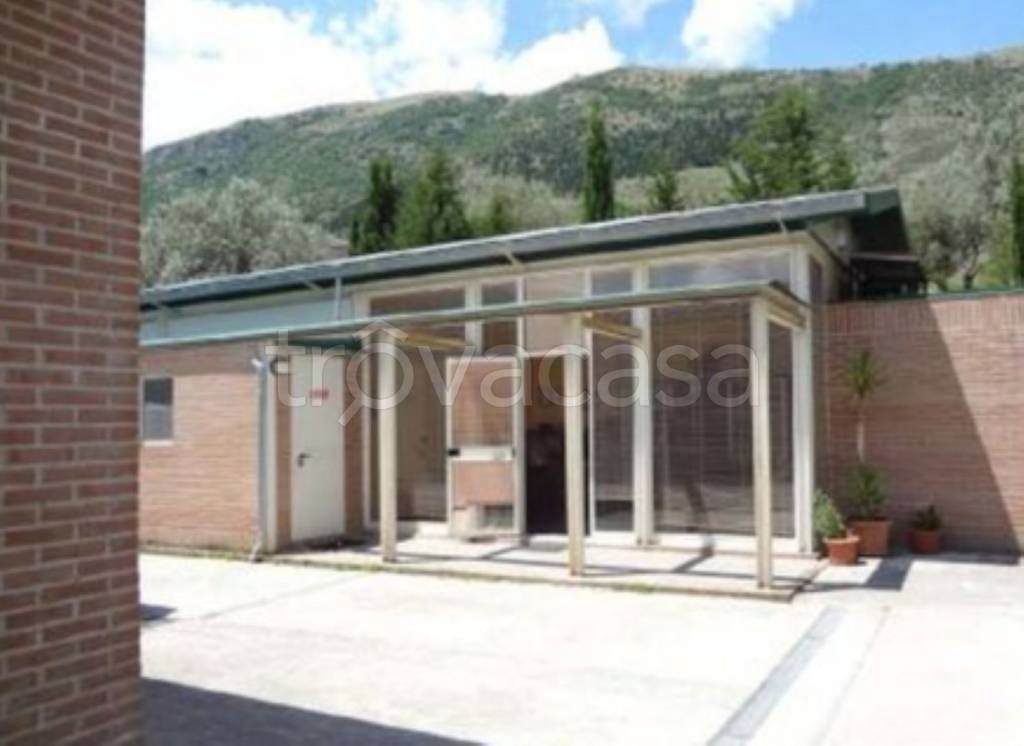 immagine annuncio 6 di 14