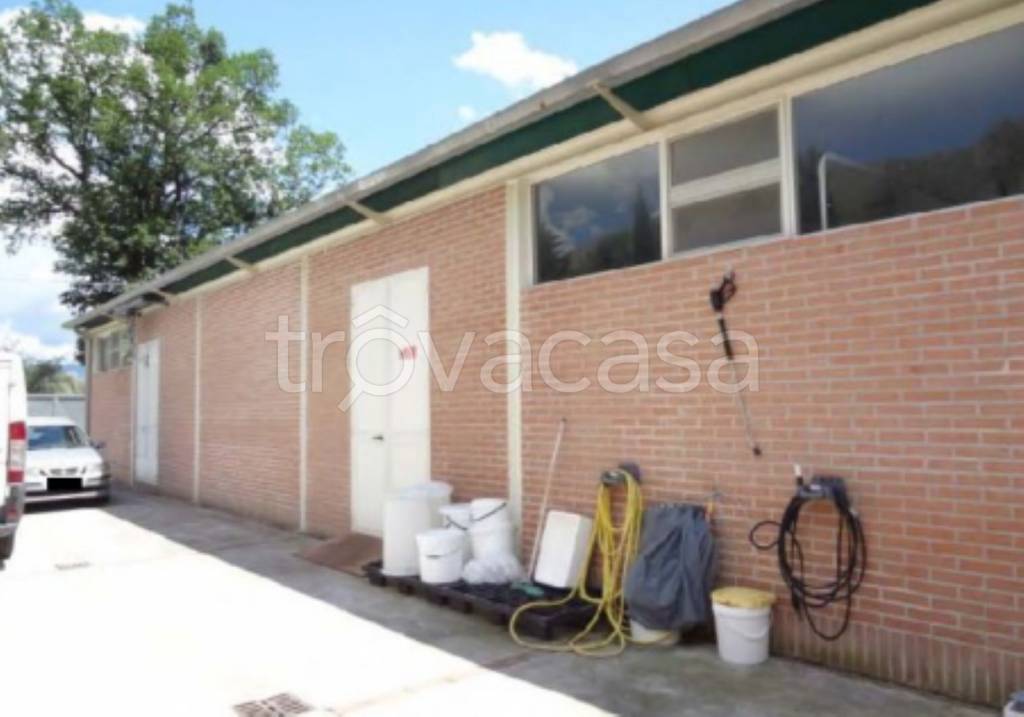 immagine annuncio 8 di 14