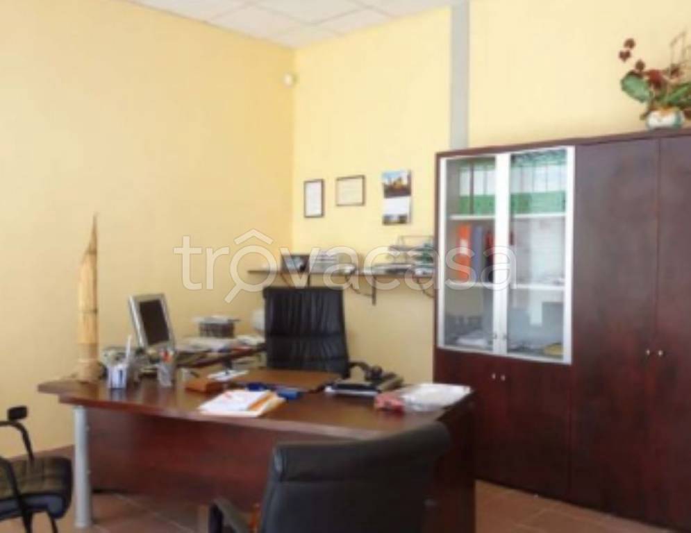 immagine annuncio 9 di 14