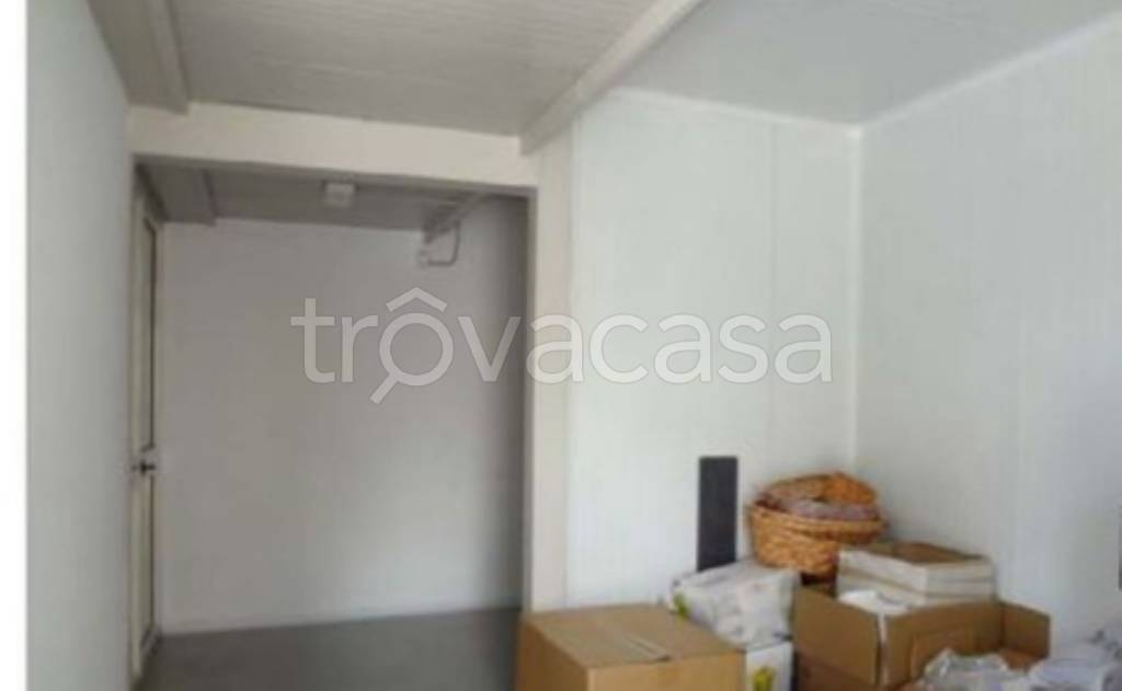 immagine annuncio 11 di 14