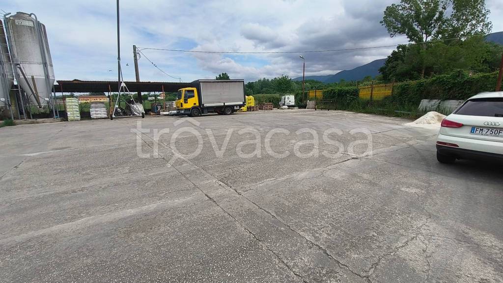 immagine annuncio 5 di 7