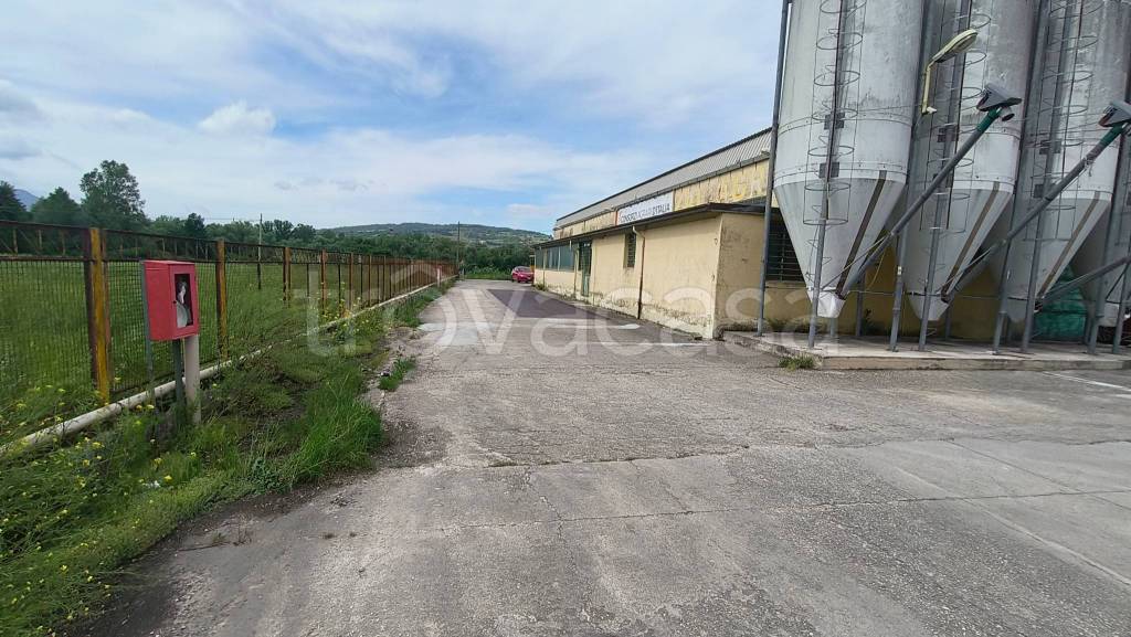 immagine annuncio 6 di 7