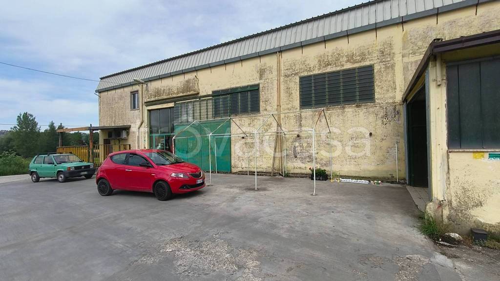 immagine annuncio 3 di 7