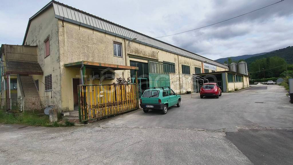 immagine annuncio 2 di 7