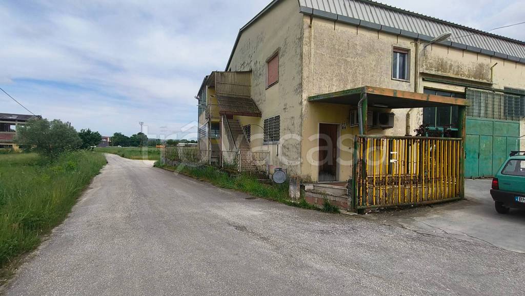 immagine annuncio 1 di 7