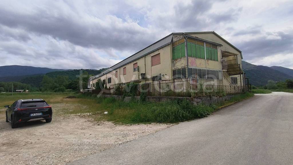 immagine annuncio 4 di 7