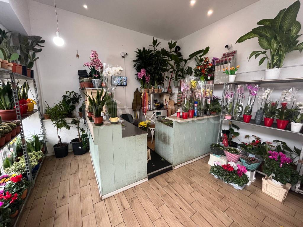 immagine annuncio 1 di 6