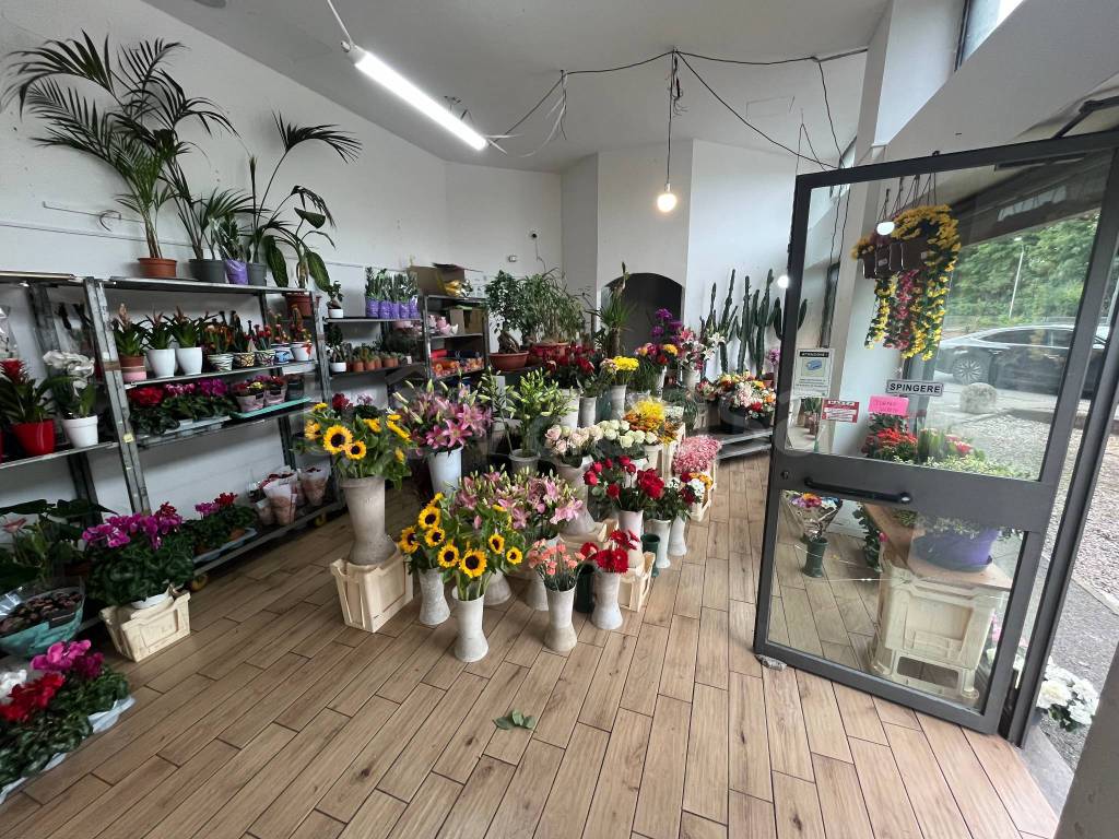 immagine annuncio 2 di 6