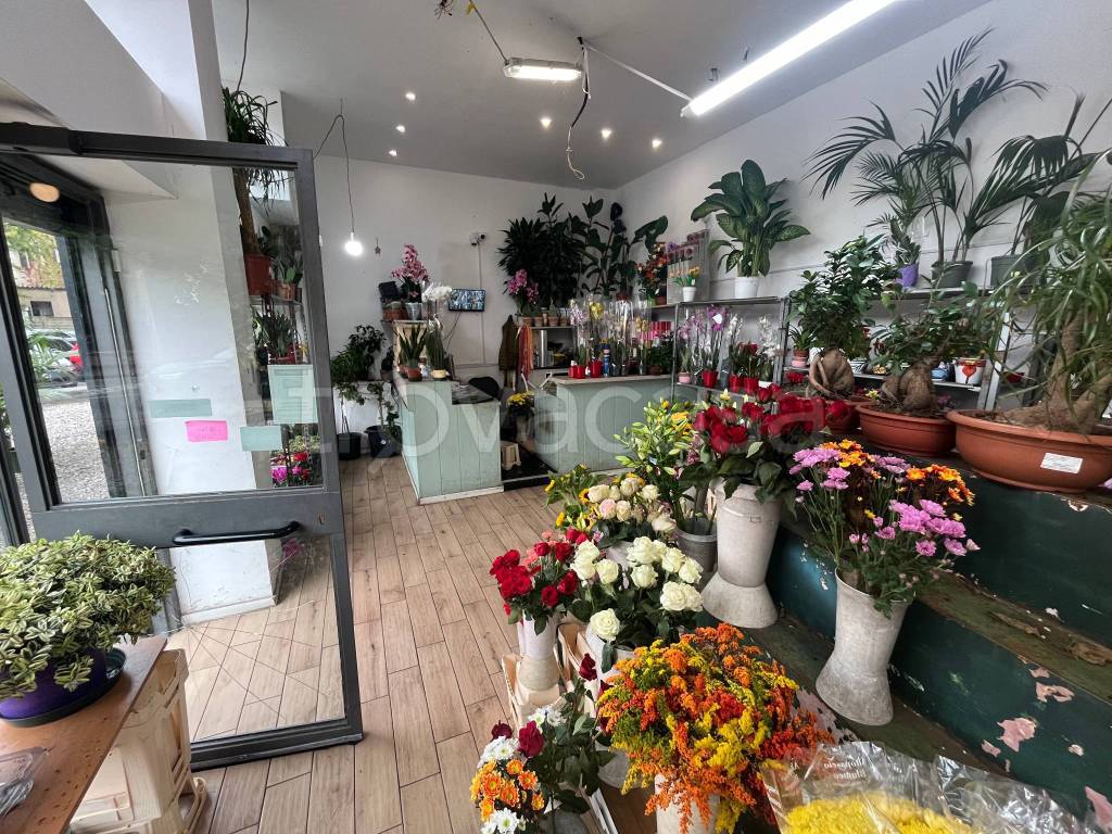 immagine annuncio 4 di 6