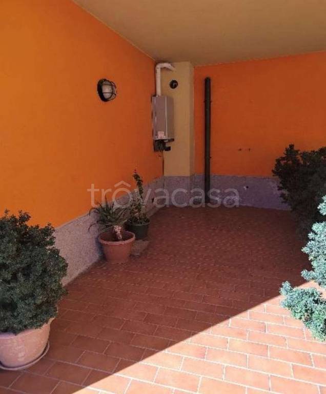 immagine annuncio 11 di 15