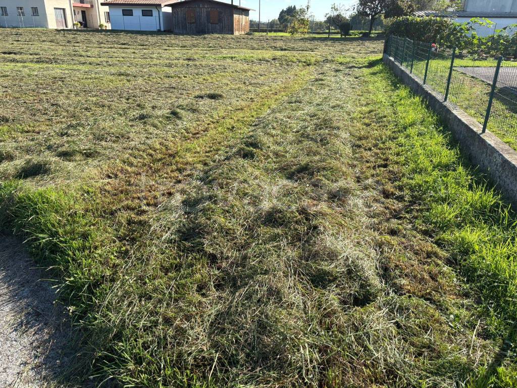 immagine annuncio 2 di 3