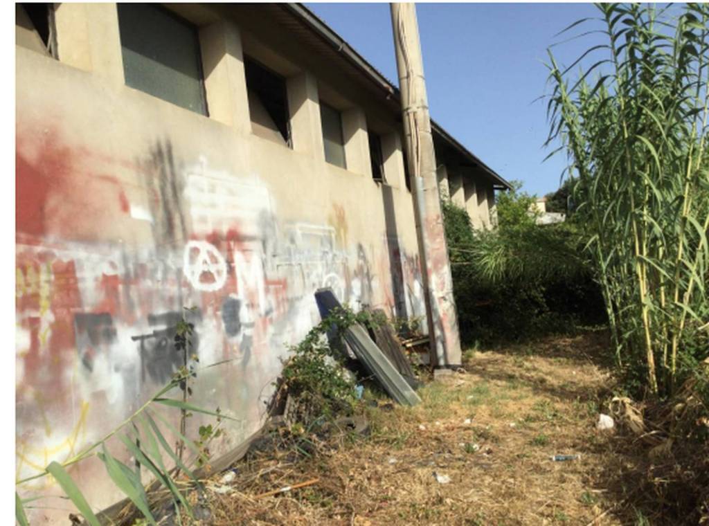 immagine annuncio 3 di 13