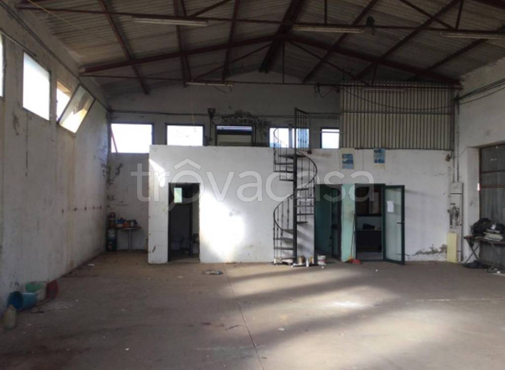 immagine annuncio 4 di 13