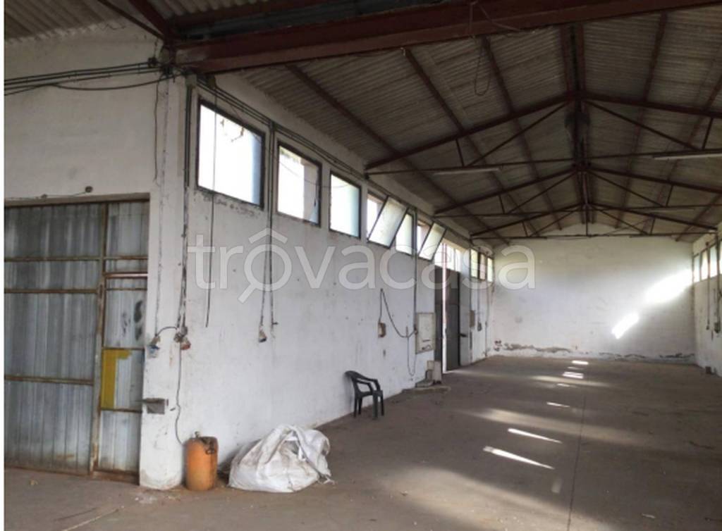 immagine annuncio 5 di 13