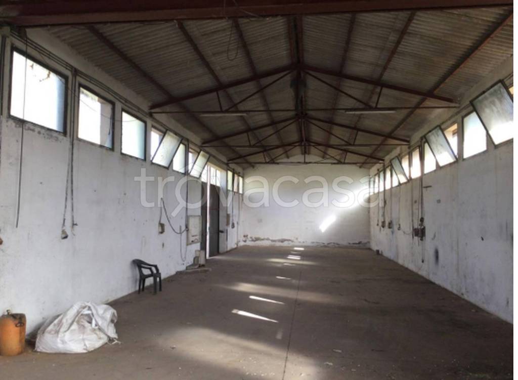 immagine annuncio 6 di 13