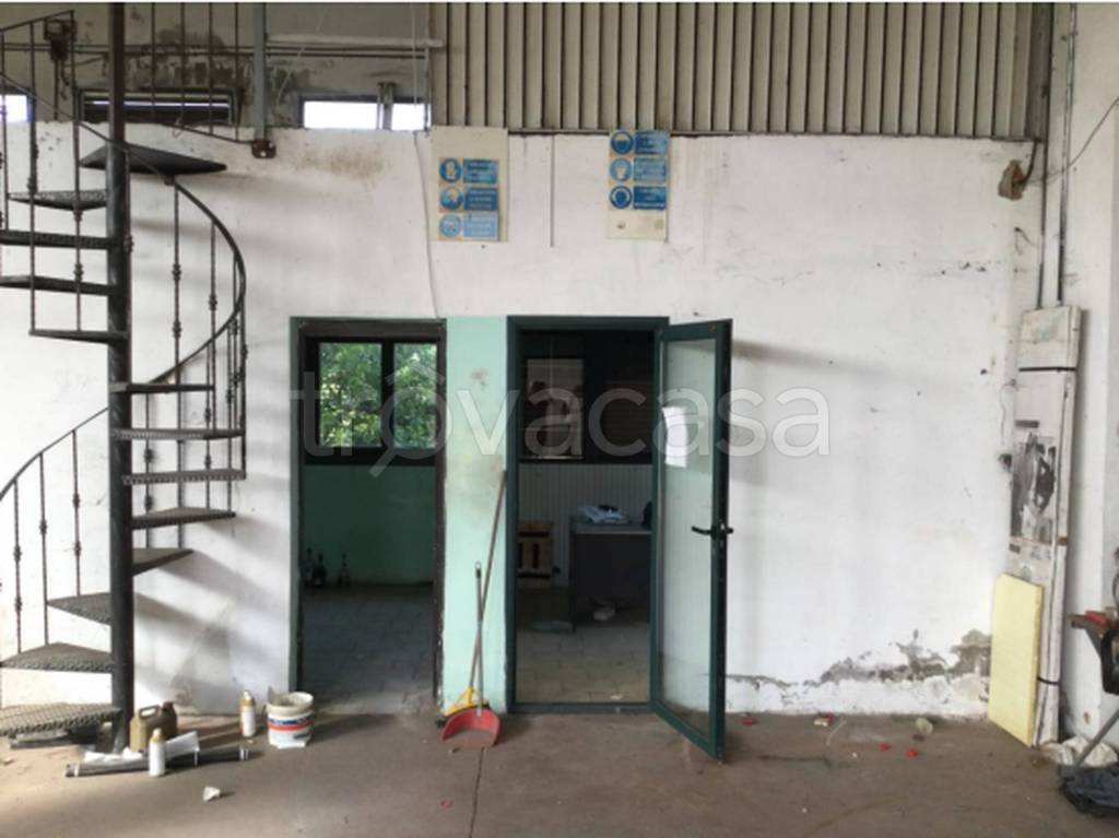 immagine annuncio 7 di 13