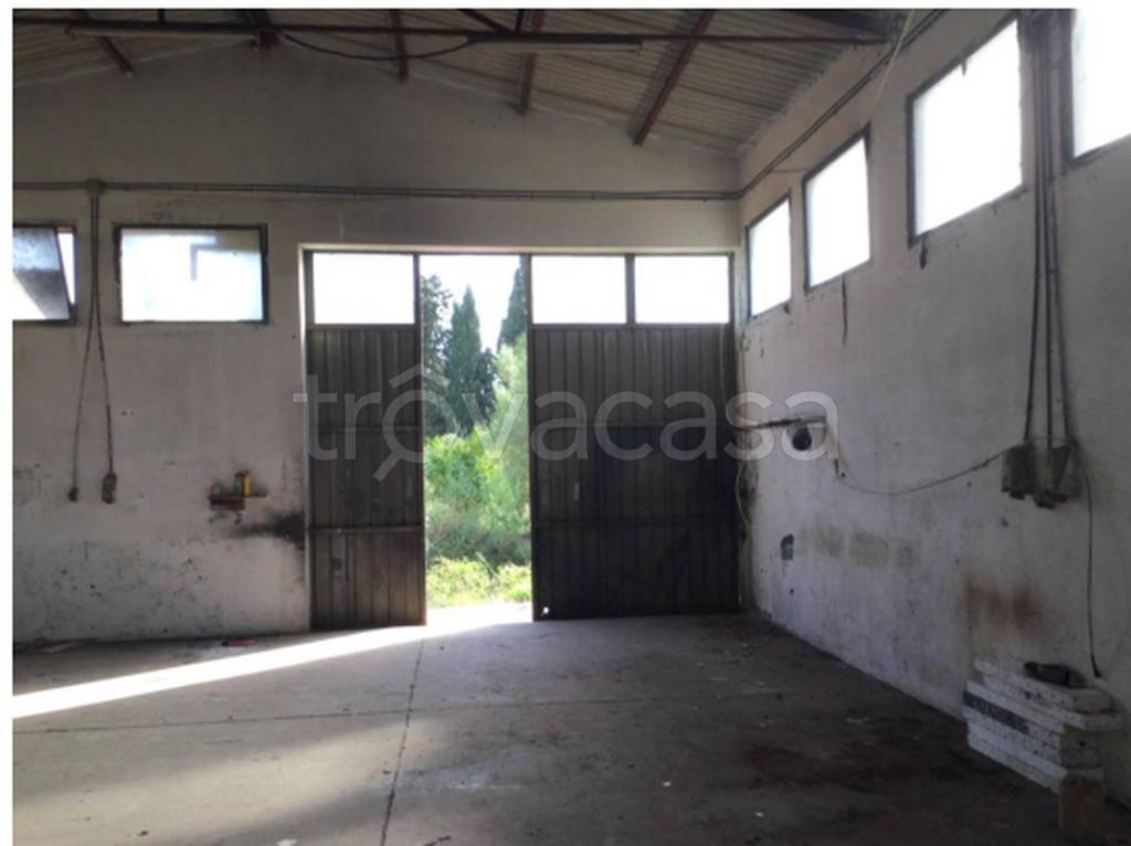 immagine annuncio 8 di 13