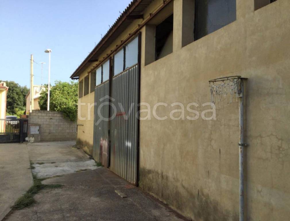 immagine annuncio 11 di 13