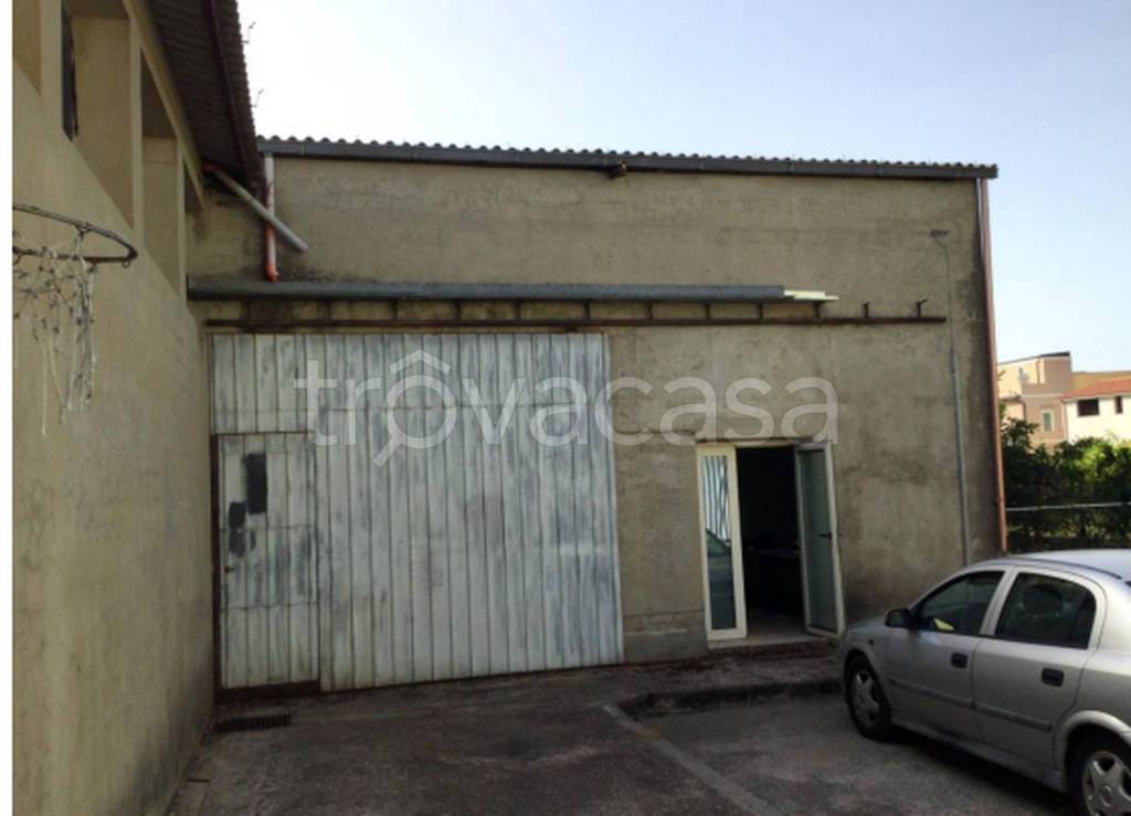 immagine annuncio 12 di 13