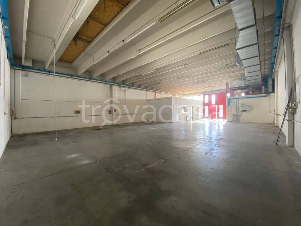 immagine annuncio 4 di 8