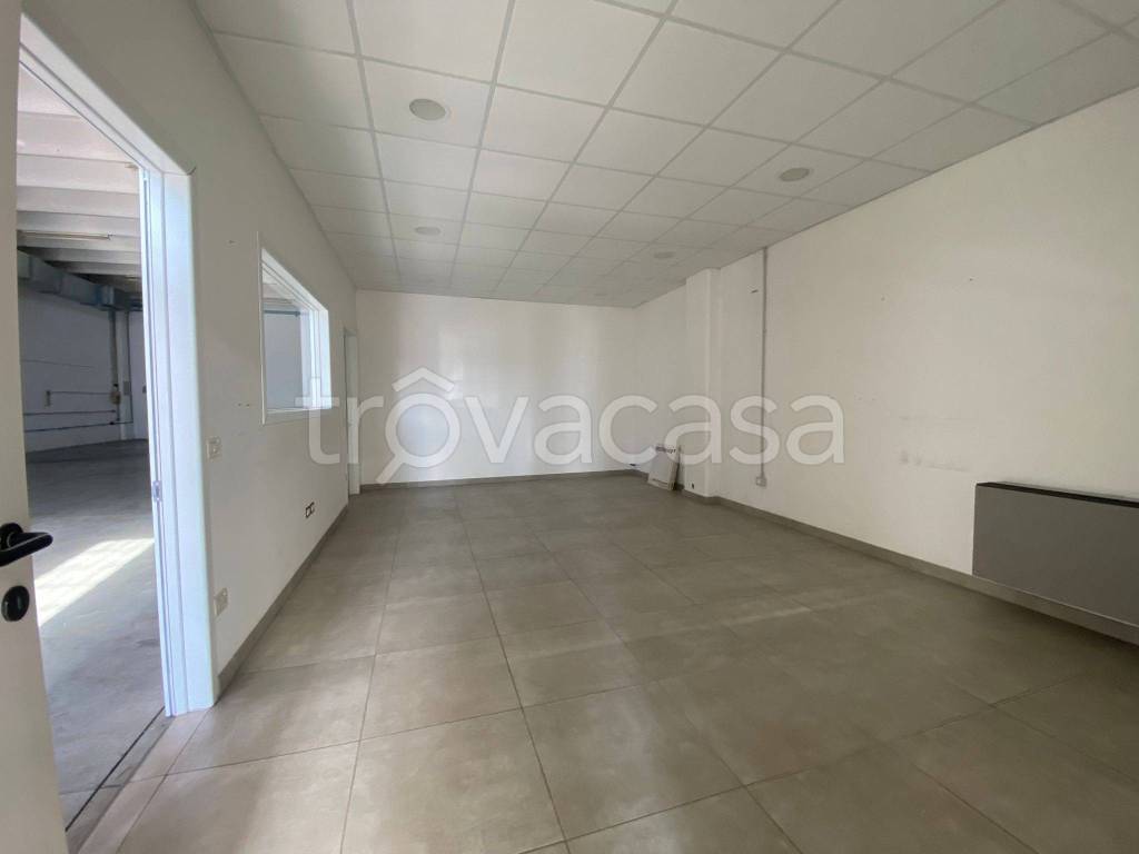 immagine annuncio 3 di 8