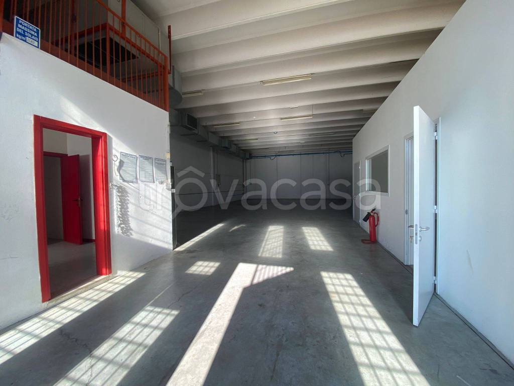 immagine annuncio 5 di 8