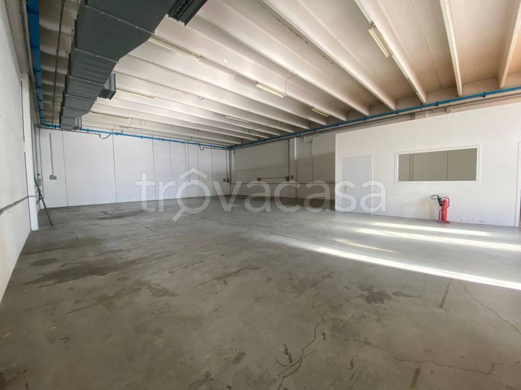 immagine annuncio 6 di 8