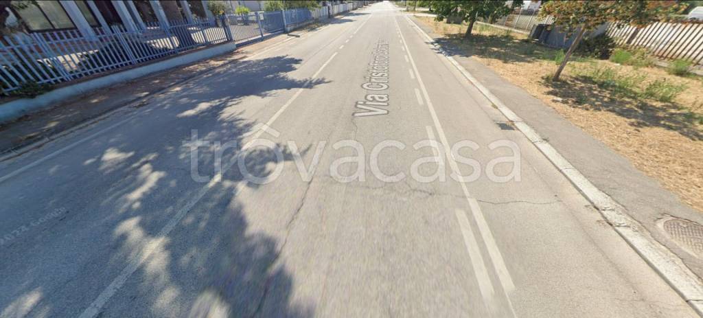 immagine annuncio 2 di 14