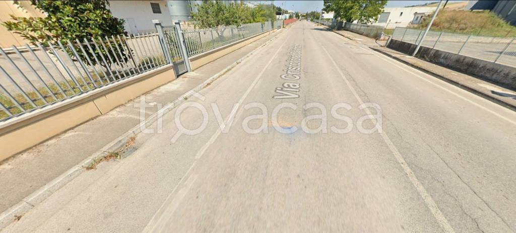 immagine annuncio 7 di 14