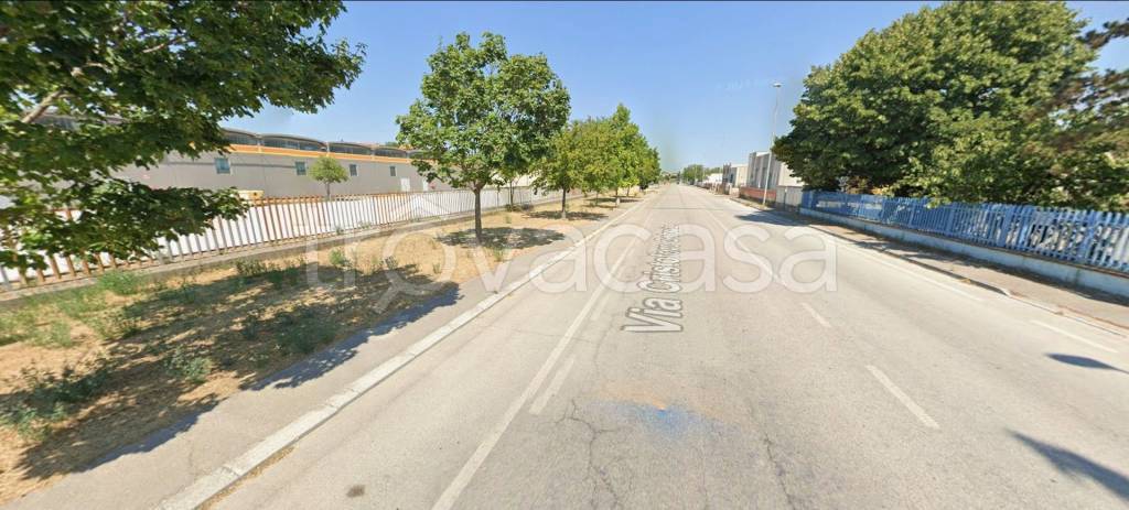 immagine annuncio 10 di 14