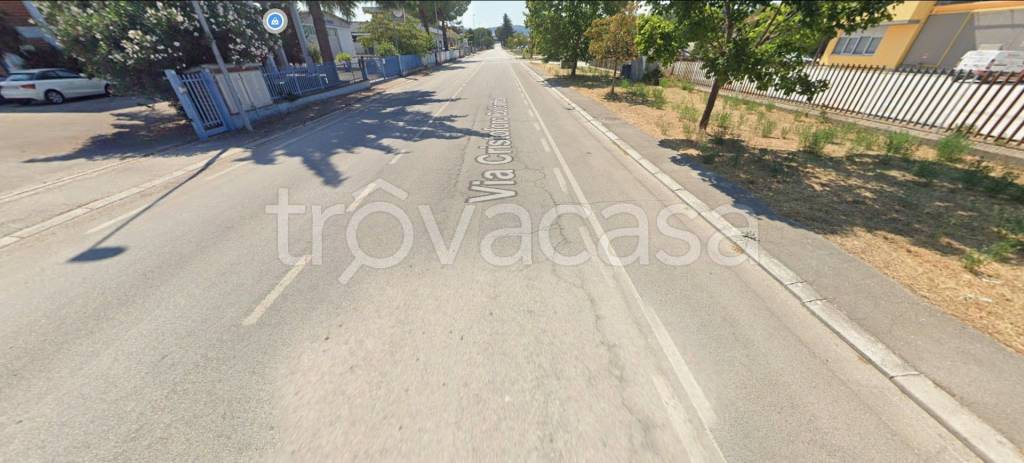 immagine annuncio 12 di 14