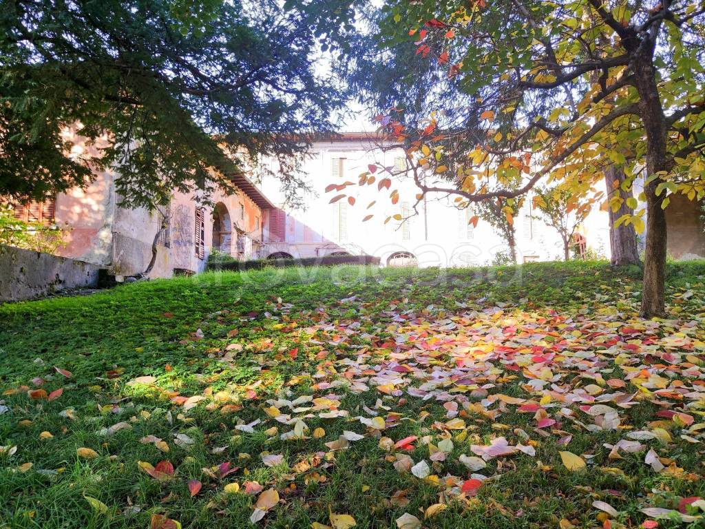 immagine annuncio 6 di 13