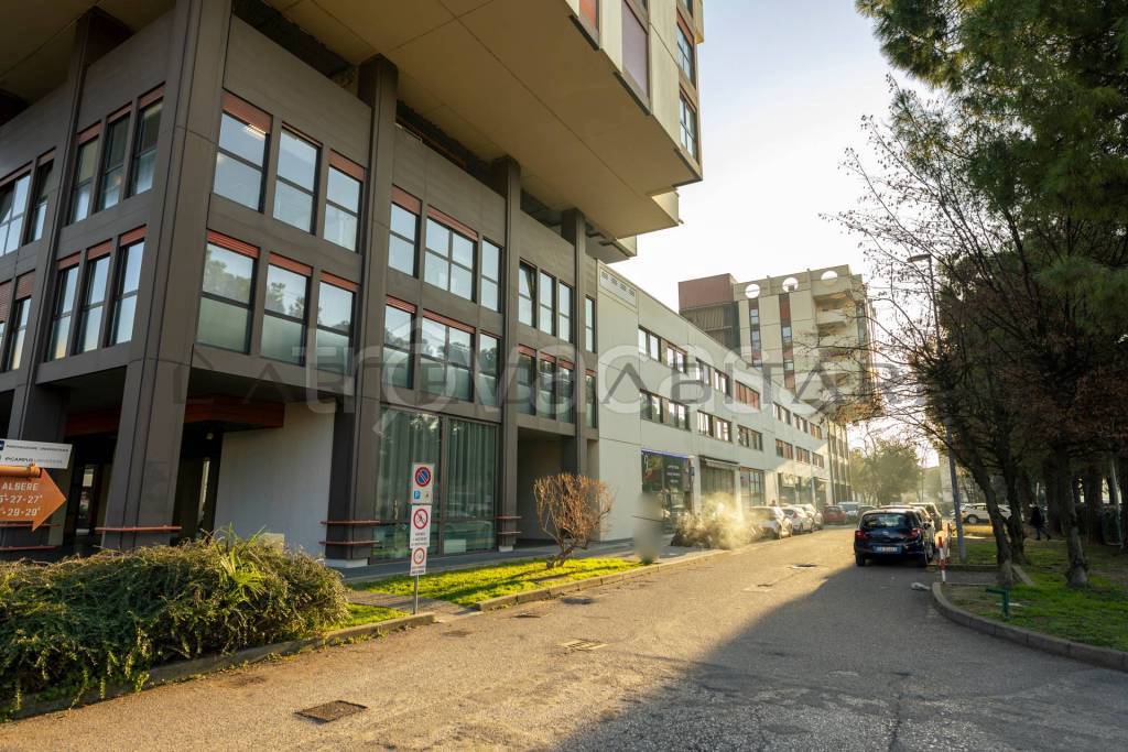 immagine annuncio 6 di 15