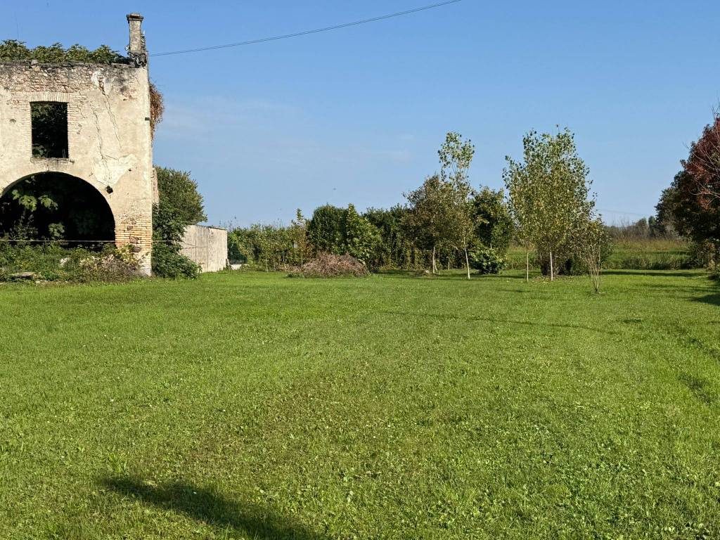 immagine annuncio 6 di 12