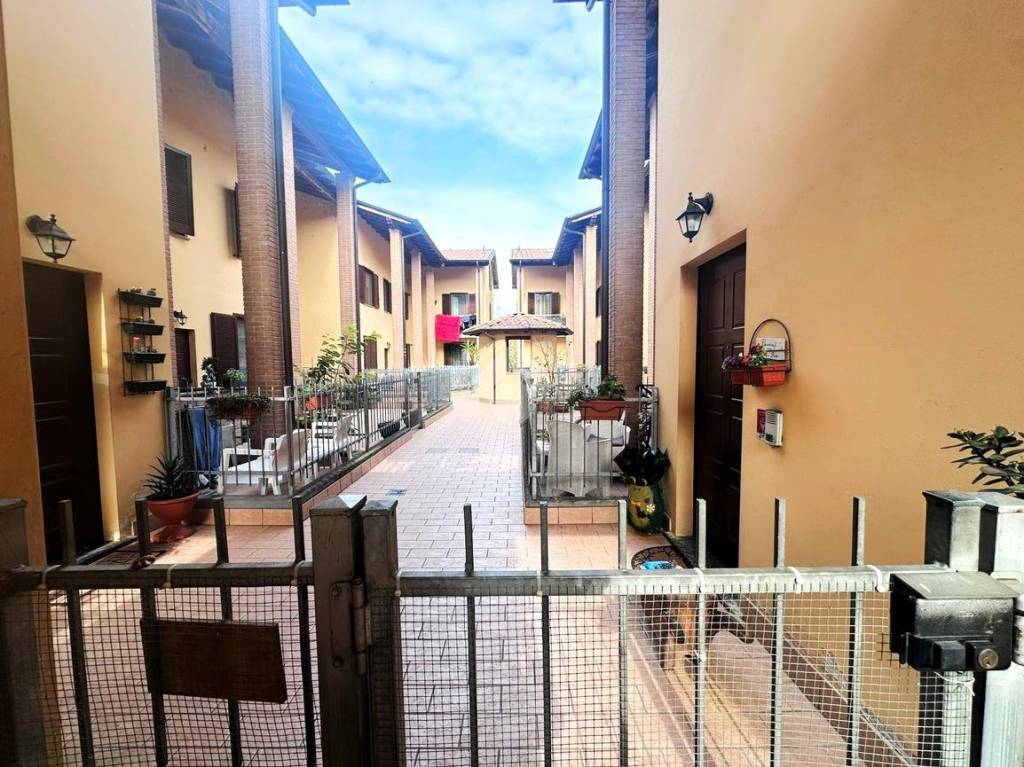 immagine annuncio 9 di 15