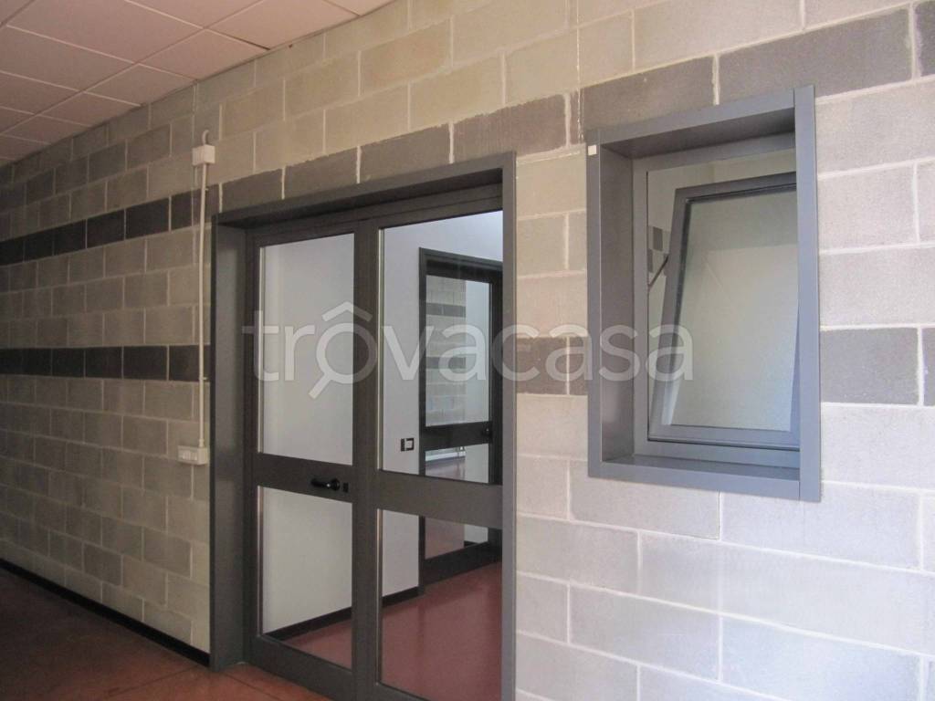 immagine annuncio 4 di 6