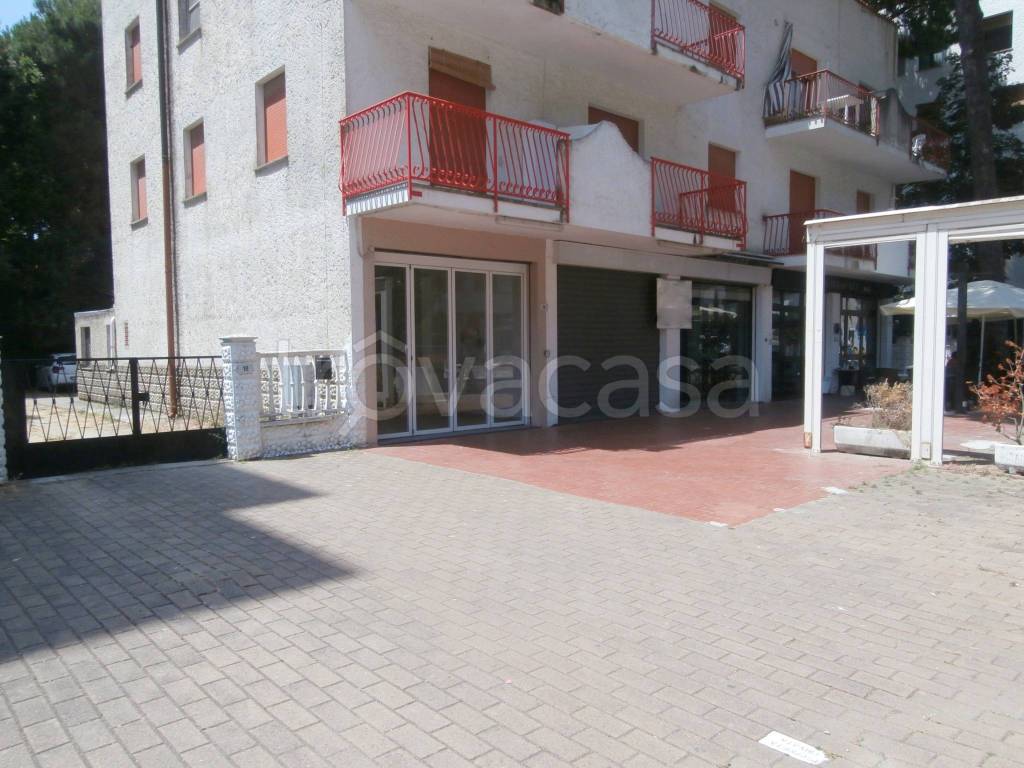 immagine annuncio 9 di 11