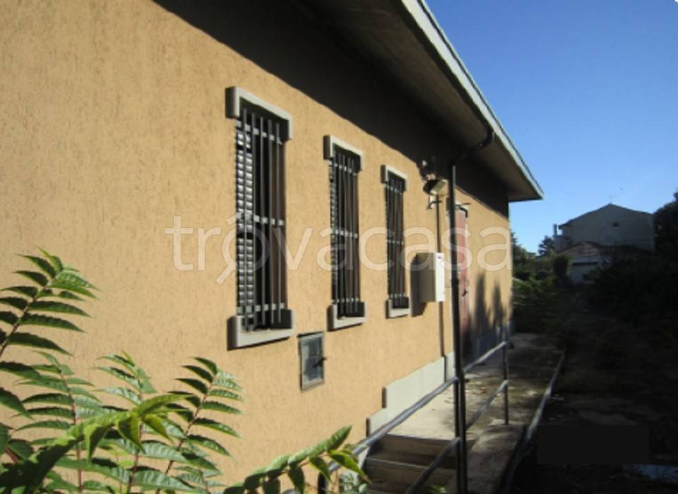 immagine annuncio 1 di 12