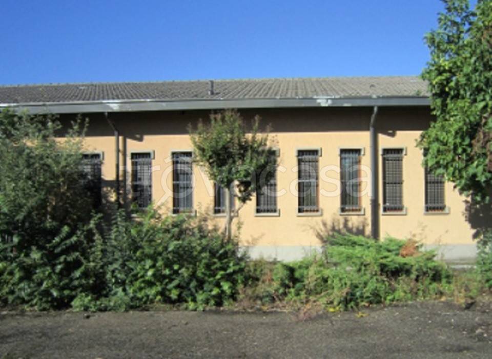 immagine annuncio 2 di 12